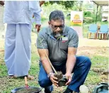  ??  ?? Director Operation M. I. Wahidplant­ing a mahogany tree