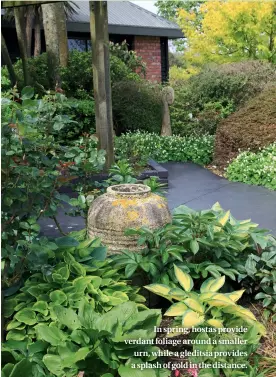  ??  ?? In spring, hostas provide verdant foliage around a smaller urn, while a gleditsia provides a splash of gold in the distance.