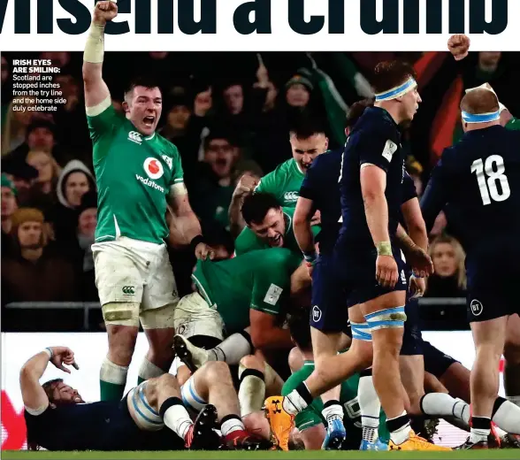  ??  ?? IRISH EYES ARE SMILING: Scotland are stopped inches from the try line and the home side duly celebrate