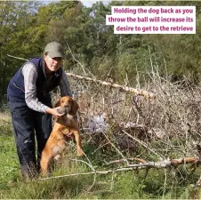  ?? ?? Holding the dog back as you throw the ball will increase its desire to get to the retrieve