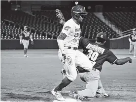  ?? ARCHIVO ?? Caimanes sigue líder del standing de la Liga Colombiana del Béisbol Profesiona­l.