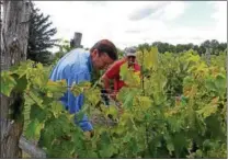  ??  ?? Left, U.S. Sen. Chris Murphy talks to owners and customers at Miranda Vineyard. Clockwise from left are Murphy, Manny Miranda, Diane Cyr, Johnny Sanzo, Denise Leclair and Maria Miranda. As it turns out, Murphy and Sanzo are both from Wethersfie­ld....