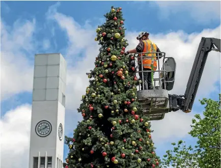  ?? PHOTO: MURRAY WILSON/FAIRFAX NZ ?? Palmerston North City Council worker Jason Broom puts the finishing touches to the city Christmas tree in The Square.