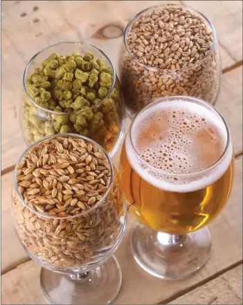  ?? Getty Images ?? Basic kits to make beer include a fermentati­on vessel, malt, hops, yeast and instructio­ns.