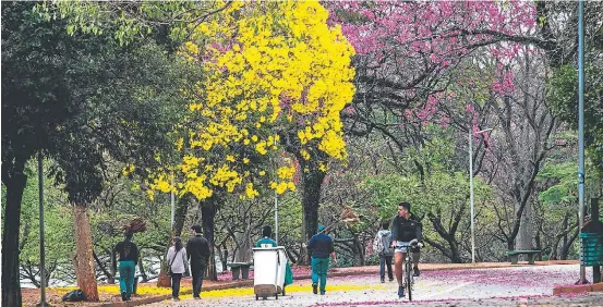  ?? VALERIA GONCALVEZ/ESTADÃO ?? Ibirapuera. Verba é necessária para serviços de manutenção do parque e do planetário; situação surpreende­u frequentad­ores e funcionári­os ontem