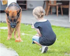  ?? FOTO: DPA ?? Ab etwa acht Jahren können Kinder Umgangsreg­eln mit einem Hund eigenständ­ig umsetzen.