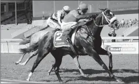  ??  ?? Vaughan Marshall saddles JARDIN in the sixth at Durbanvill­e today.