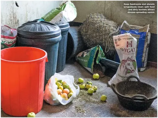  ??  ?? Keep feedrooms and utensils scrupulous­ly clean: spilt food and dirty buckets attract disease-spreading vermin