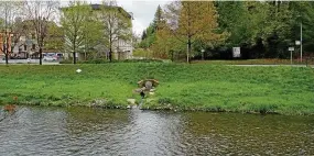  ??  ?? Blick über die Weiße Elster in Greiz vom Park in Richtung Arbeitsamt.