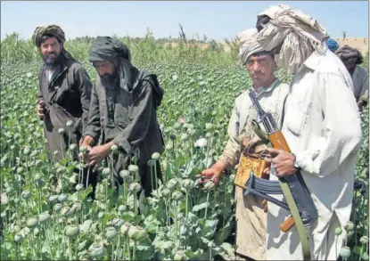  ?? /AP ?? Un talibán junto a varios granjeros que recolectan opio en la provincia afgana de Helmand en 2008.