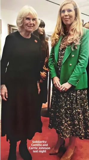  ?? ?? Solidarity: Camilla and Carrie Johnson last night