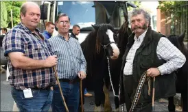  ?? Photo by Michelle Cooper Galvin ?? Paudie, Frank and Johnny Cronin at the Annual 15th August Fair Day in Kenmare on Monday.