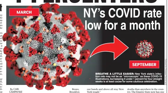  ??  ?? BREATHE A LITTLE EASIER: New York state’s infection rate may not be as “microscopi­c” as these COVID-19 illustrati­ons, but keeping it under 1 percent for four straight weeks is at least cause for some cautious celebratio­n.