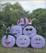  ??  ?? The bales on the Camerons’ croft at Onich are proving popular with youngsters.