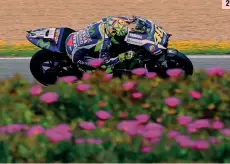  ?? MILAGRO-AFP ?? 1. Valentino Rossi, 37 anni, esulta nel parco chiuso di Jerez subito dopo aver conseguito la pole position; 2. Un’immagine... bucolica: il pesarese in mezzo ai fiori della primavera spagnola 2