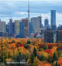  ??  ?? Fall colours in Toronto