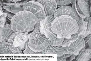  ?? MaRlENE awaaD / BlooMBERg ?? FiSH harbor in Boulogne sur Mer, in France, on February 1, shows the Saint Jacques shells.