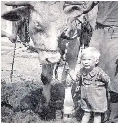  ??  ?? Keine Angst vor großen Tieren: Für die Landkinder waren es besondere Tage, wenn sie die Erwachsene­n auf den Viehmarkt begleiten durften.