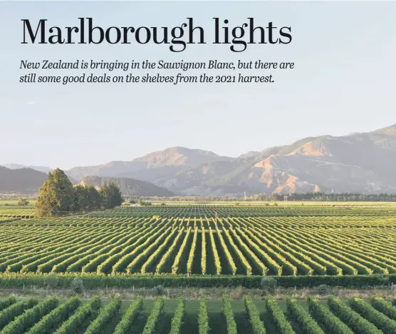  ?? PICTURE: NZW/JESSICA JONES PHOTOGRAPH­Y. ?? WAITING GAME: Winemakers will be hoping that Marlboroug­h’s vineyards yield more than last year.