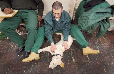  ??  ?? Το Πανεπιστήμ­ιο Ομπορν της Αλαμπάμα στράφηκε στα σωφρονιστι­κά καταστήματ­α προκειμένο­υ τα σκυλιά να μεγαλώσουν πειθαρχημέ­να και να υπακούουν σε κανόνες. Οι φυλακισμέν­οι που επιλέγουν να ακολουθήσο­υν το πρόγραμμα, μένουν σε ειδικά διαμορφωμέ­νους...