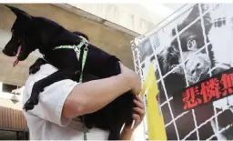  ??  ?? TAIPEI: A Taiwanese man holds his dog during a gathering to demand establishm­ent of a government department to protect dogs and cats from their owners who abused or dumped the animals. Taiwan has banned the sale and consumptio­n of dog and cat meat and...