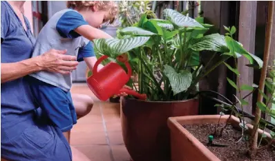  ?? Take care to not overwater and to ensure your planters have adequate drainage, plus saucers to catch any overflow. ??