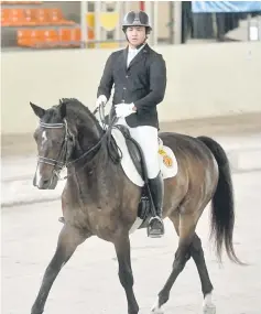  ??  ?? Ahmad Imtaz and his horse, ‘Ruibin Royal’ in action during the Tan Sri Jamaluddin Jarjis Challenge Cup and 4th Round SEA Games Qualifiers at the Bukit Kiara Equestrian and Country Resort (BKECR) yesterday. — Bernama photo