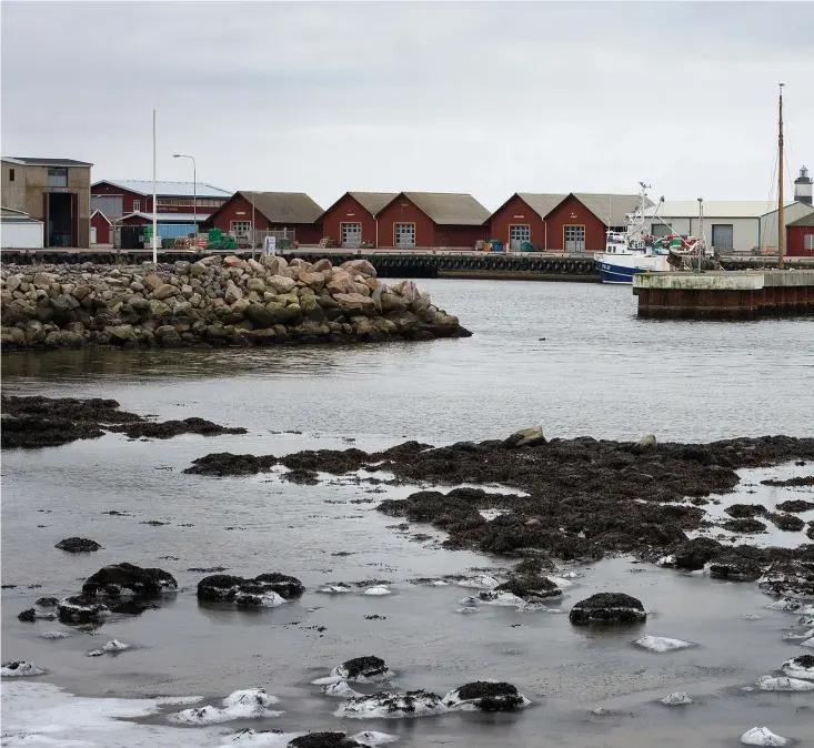  ??  ?? MÖRKT OCH TYST. Fiskarna i Glommen är beroende av Falkenberg Seafood, bland annat hämtar de sin is där i dag. Många befarar att samhället ska bli tyst och mörkt när företaget försvinner. Hoppet om