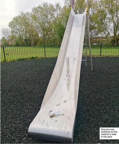  ?? ?? Dog poo was smeared on the children’s slide in the park