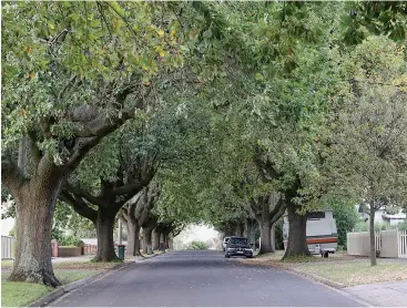  ??  ?? Alford St is one of few streets in Warragul where majestic oak trees still form an avenue along the streetscap­e.