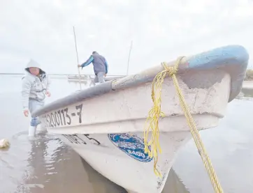  ?? ?? l De 50 buzos que había en Yavaros sólo 15 siguen saliendo en busca del callo de hacha y extreman precaucion­es ante el temor a los tiburones.