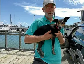  ??  ?? Kim Borgstrom holds Max who was dyed black by a family who picked him up in Opua.