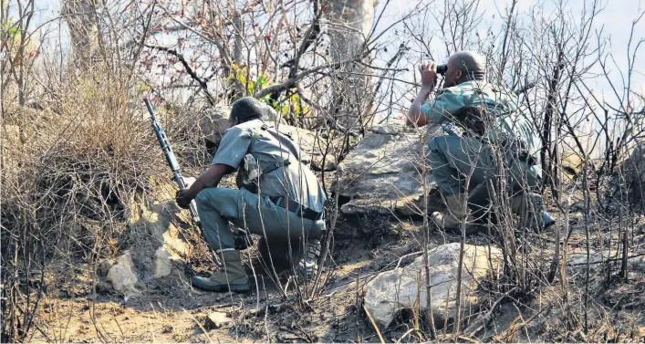  ?? Larry Bentley ?? Rangers on patrol in a KZN reserve