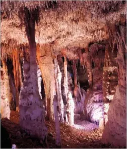  ?? GREG HALFORD/CAPTURE ARKANSAS ?? Blanchard Springs Caverns, a system of caves located in the Ozark National Forest, is commonly referred to as the living cave.The water-carved passages are constantly changing, and visitors experience new sights on each tour.