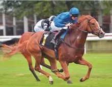  ?? Rex Features ?? Aim Of Artemis, ridden by Robert Havlin, wins the Fillies’ Novice Stakes ahead of Choco Box ridden by Pat Cosgrave in Newmarket, yesterday.