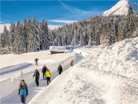  ??  ?? Oben die Loipen, unten der Wanderweg, im Hintergrun­d die Hohe Munde: Mit einer Fräse wird der Weitwander­weg immer wieder freigemach­t.