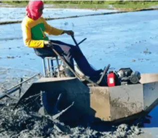 PhilRice develops ‘Autoboat’ farming tractor - PressReader