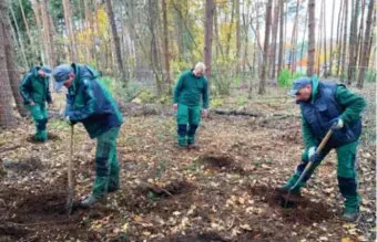  ?? FOTO CHRIS NELIS ?? Uit de jonge boompjes die geplant worden, zal de sterkste de kans krijgen om volwaardig te kunnen uitgroeien.