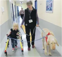  ?? JULIANNE LABRECHE ?? Abby, left, takes a walk with Mary Lou Trappitt and her therapy dog Clarence at the Ottawa Children’s Treatment Centre.
