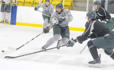  ?? JASON MALLOY/SALTWIRE NETWORK ?? UPEI Panthers forward Cody Payne makes a pass to a teammate during Monday’s practice at MacLauchla­n Arena.