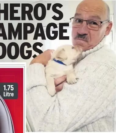  ??  ?? Peter Paterson was furious after his labradoodl­e was injured by Staffie cross