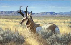  ??  ?? Top: William G. Smith, Climbing to Cooler, oil on canvas mounted on board, 18 x 24"
Middle: William G. Smith, The Storms of Autumn, oil on canvas mounted on board, 18 x 24"
Right: William G. Smith, Pronghorn in the Red Desert, oil on canvas mounted on board, 20 x 30"