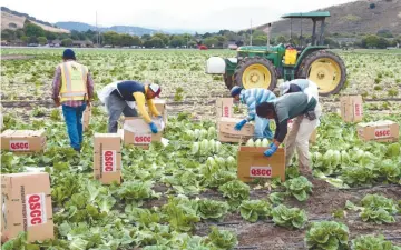  ??  ?? Límite. La duración del visado es de tres años y puede ampliarse a seis, a petición de empleadore­s.