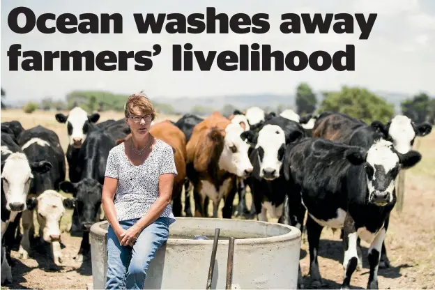  ?? PHOTOS: CHRISTEL YARDLEY/STUFF ?? Sheryl McPherson is worried for her cows after the salt water flooded her farmland, killing the pasture. At right, the cleanup begins in Kaiaua, which took the brunt of the impact of a king tide during Friday’s storm.