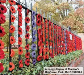  ?? ?? A poppy display at Marlow’s Higginson Park. Ref:135030-2