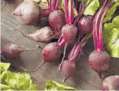  ?? DREAMSTIME ?? Those who have suffered kidney stones will want to be cautious about consuming beets.