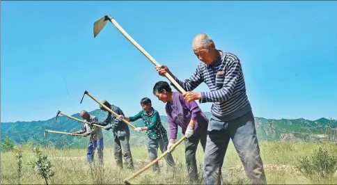  ?? CAO YANG / XINHUA ?? Cooperativ­e members in Lanxian county, Shanxi province, prepare the ground before planting trees as part of a forestry program.