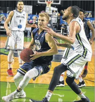  ?? NIAGARA RIVER LIONS PHOTO ?? Tyler Haws of the St. John’s Edge drives through the paint past a Niagara River Lions defender during an NBL Canada game Sunday in St. Catharines, Ont. The Edge won the game 122-104.