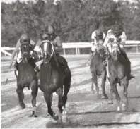  ??  ?? Las pruebas hípicas se reanudarán esta tarde en el Hipódromo V Centenario.