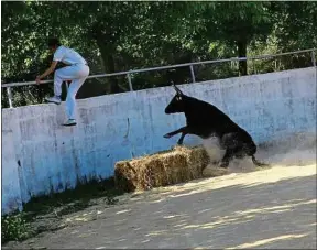  ??  ?? La course camarguais­e représente plus de 200 clubs et 200 élevages.